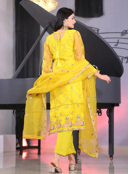 Beautiful Heavy Organza Suit With Sequence Embroidered Work