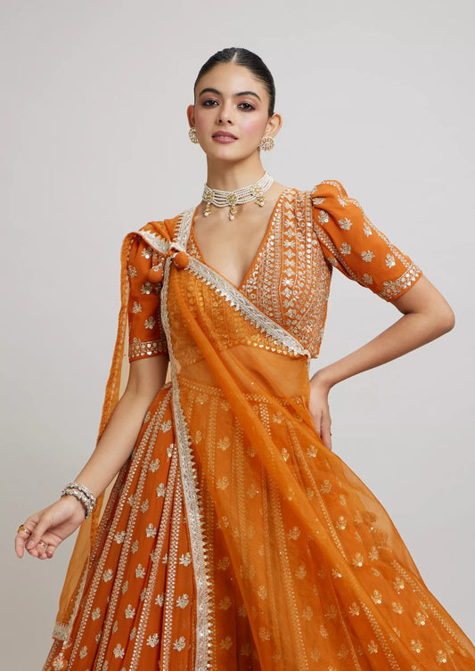 Designer Traditional Lehenga Choli for Women Style 029