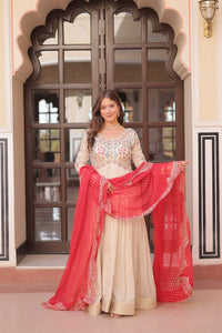Naira Gown  Luxury Ethnic Women's Anarkali Dress
