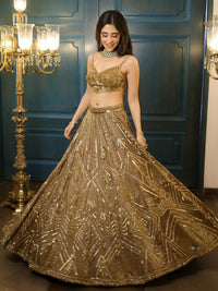 Luxury Embroidered Lehenga Choli Set Style 014