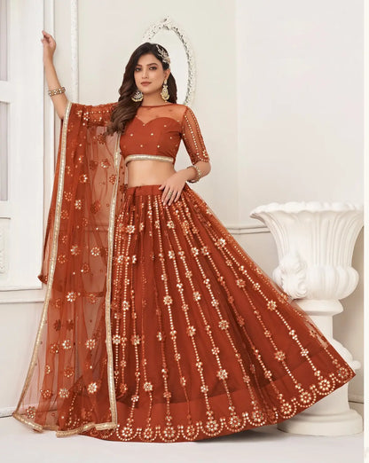 Brown Embroidery Net A Line Lehenga With Blouse