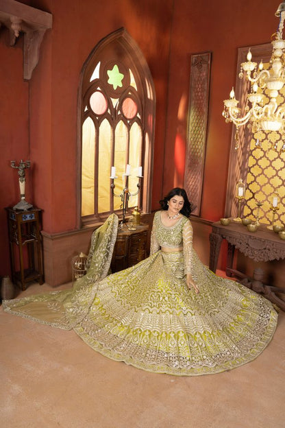 Premium Occasion Collection Lehenga