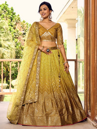 Luxury Celebration Wear Lehenga