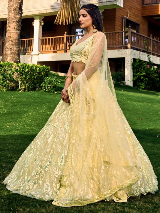 Elegant Designer Celebration Lehenga