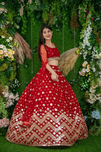 Elegant Luxury Collection Lehenga