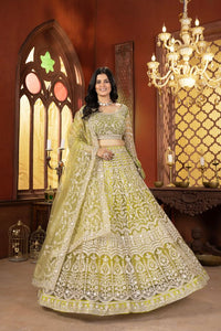 Premium Occasion Collection Lehenga