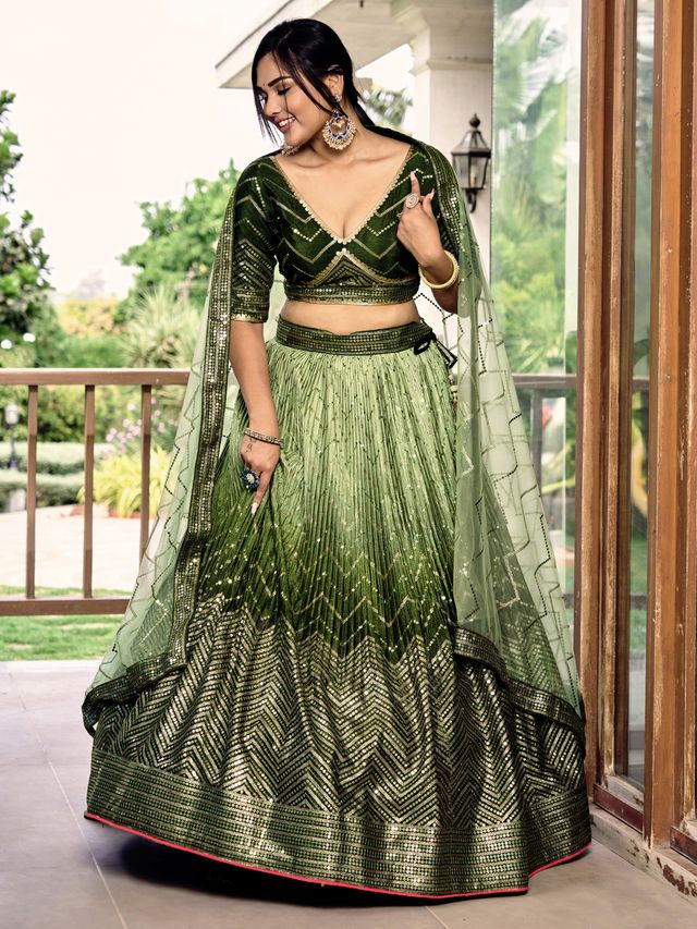 Regal Ethnic Elegance Lehenga