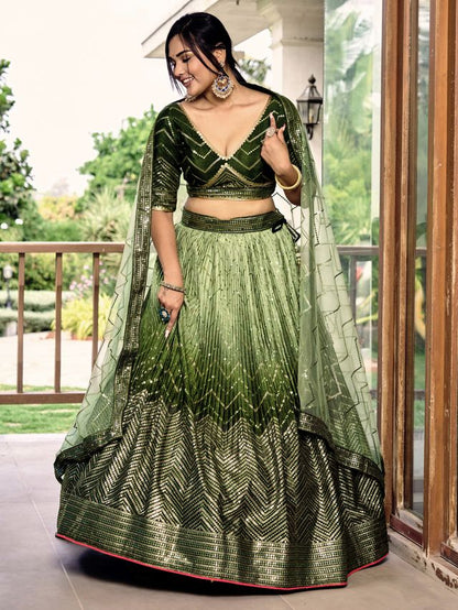 Regal Ethnic Elegance Lehenga