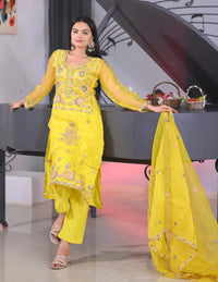 Beautiful Heavy Organza Suit With Sequence Embroidered Work