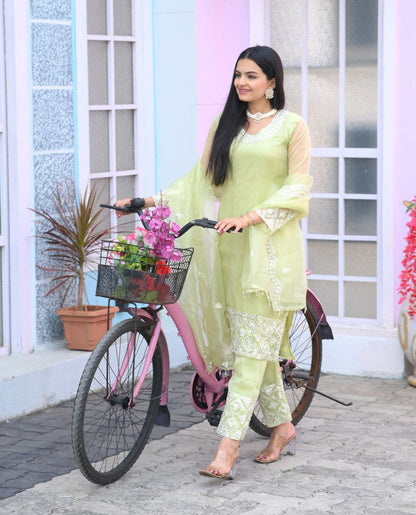 Heavy Organza Suit With Sequence Embroidered Work