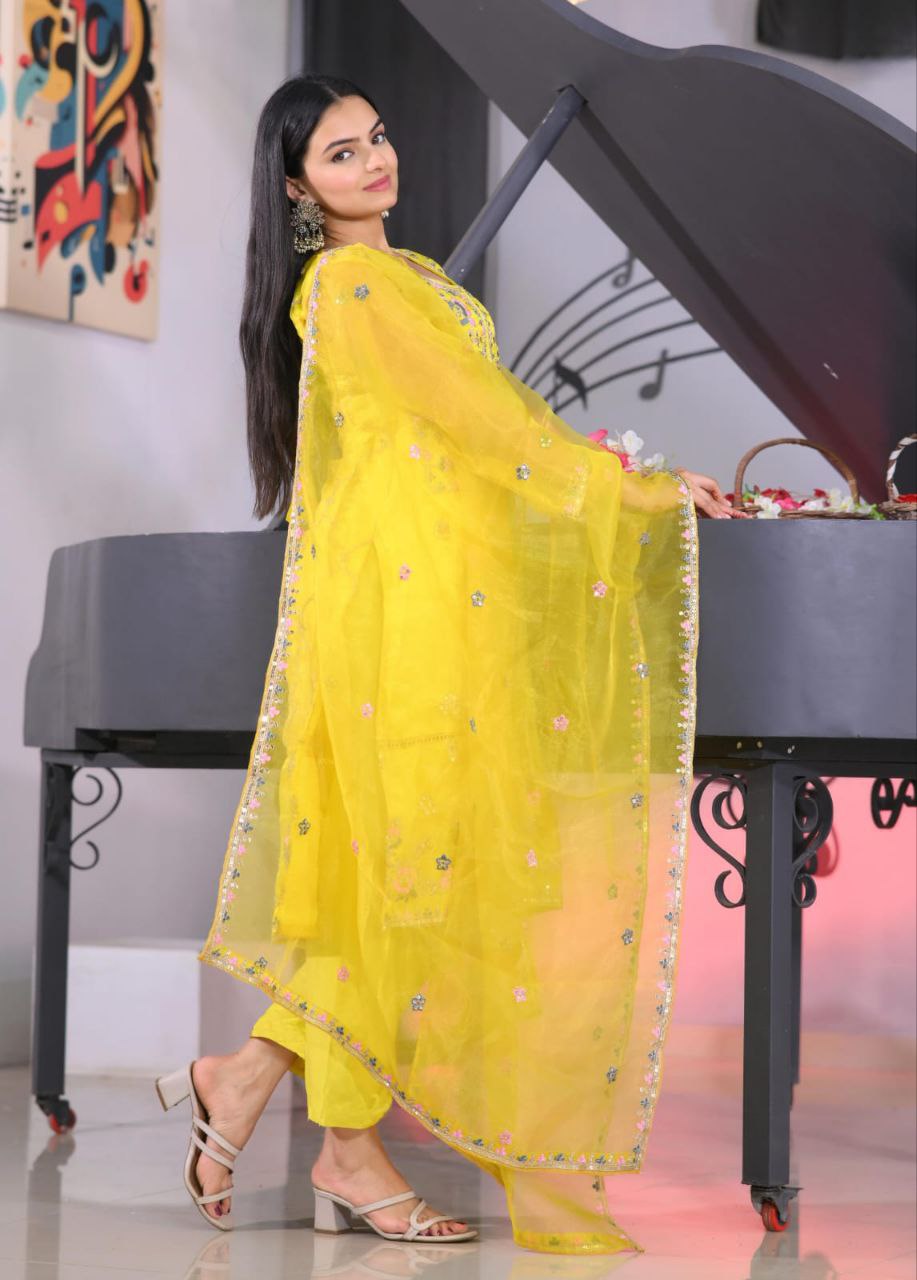 Beautiful Heavy Organza Suit With Sequence Embroidered Work
